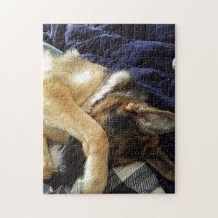 sleeping german shepherd jigsaw puzzle