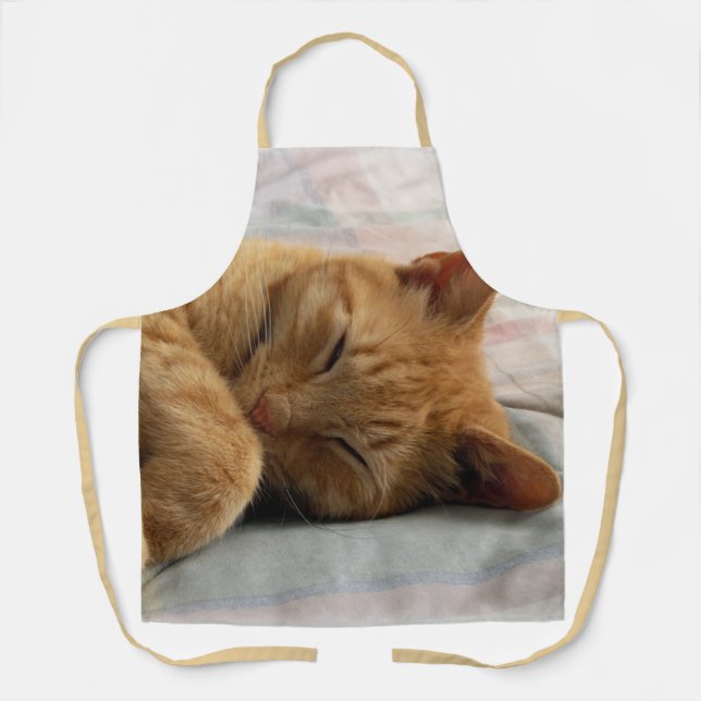 Sleeping Ginger Cat Apron (Front)