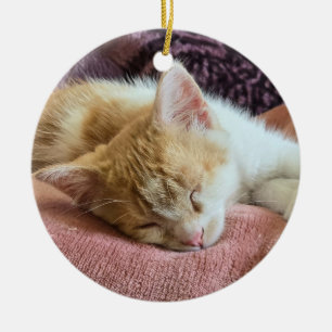 Sleeping ginger kitten ceramic tree decoration