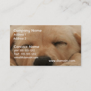 Sleeping Golden Retriever Business Card