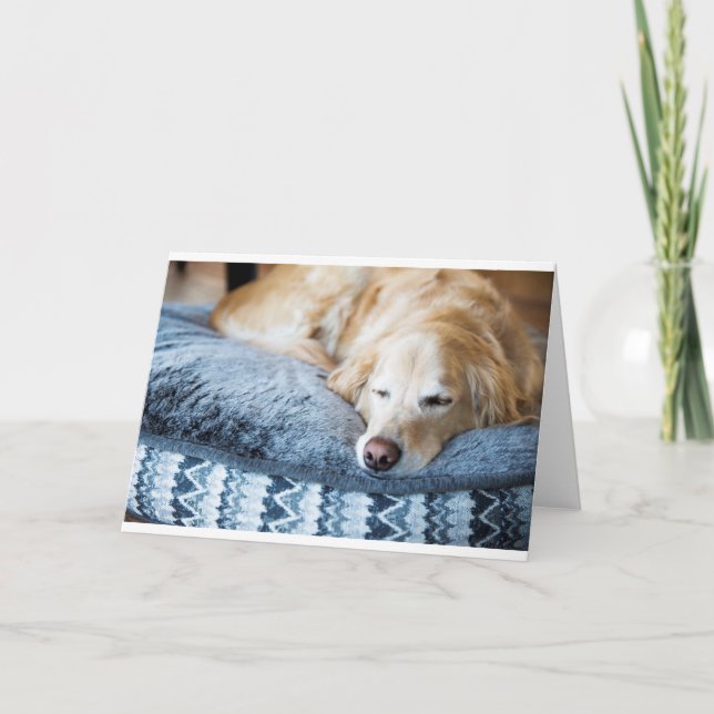 Sleeping golden retriever card (Front)