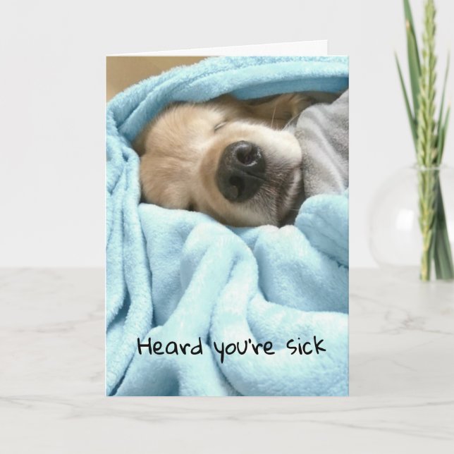 Sleeping Golden Retriever in Blue Blanket Get Well Card (Front)