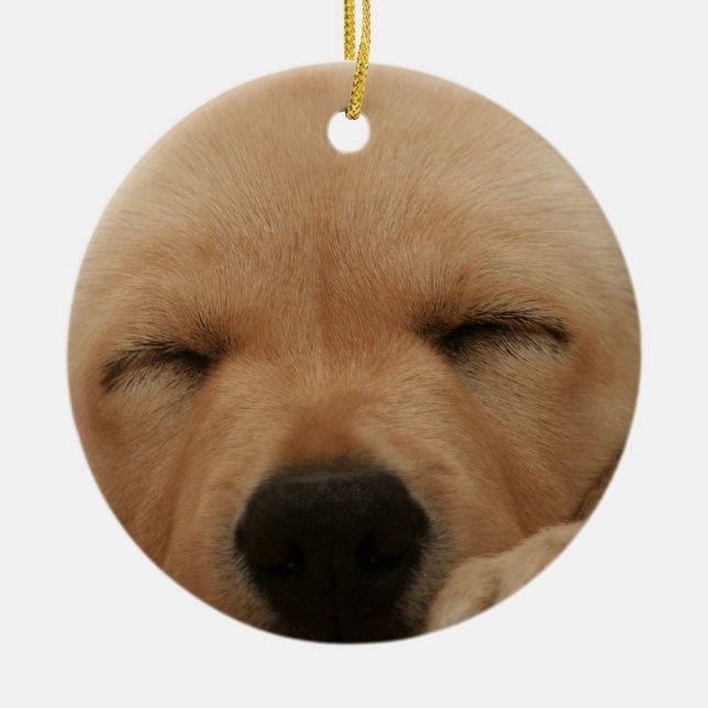 Sleeping Golden Retriever Ornament (Front)