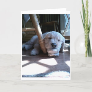 Sleeping Golden Retriever Puppy Card
