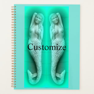sleeping green mermaid planner