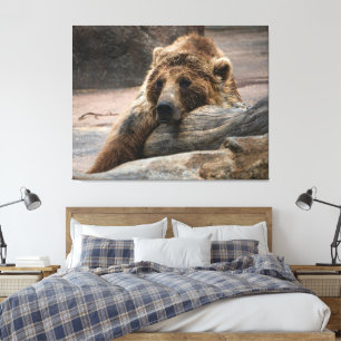 Sleeping Grizzly Bear stretched Canvas Print