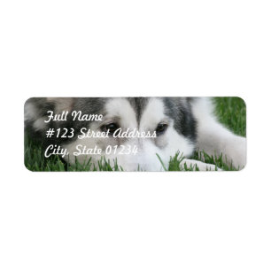 Sleeping Husky Dog Mailing Label
