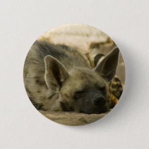 Sleeping Hyena Button