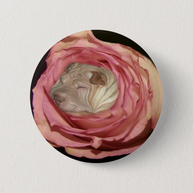 Sleeping in a Pale Pink Rose, Chinese Shar Pei Dog 6 Cm Round Badge (Front)