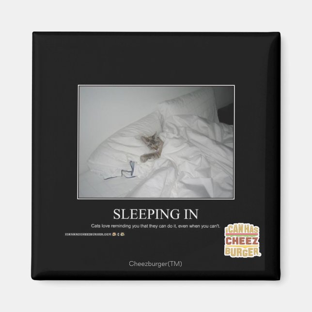 Sleeping In Magnet (Front)