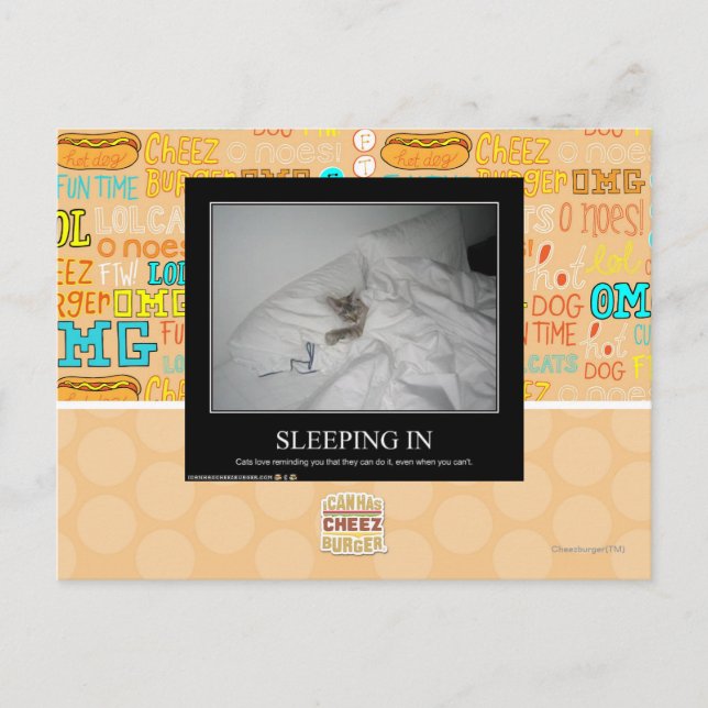 Sleeping In Postcard (Front)