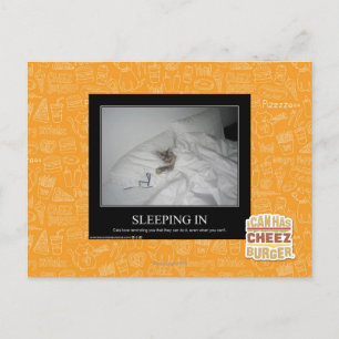 Sleeping In Postcard