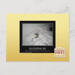 Sleeping In Postcard