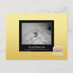 Sleeping In Postcard