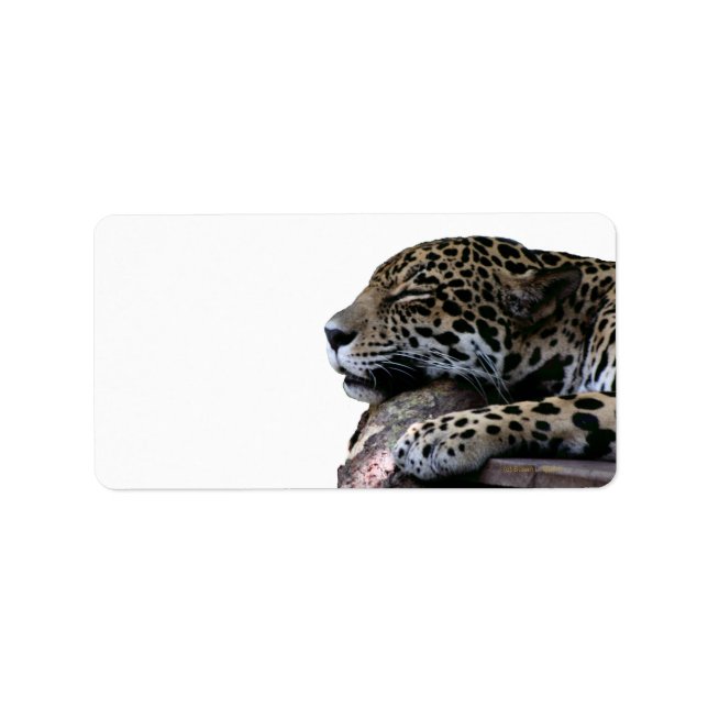Sleeping Jaguar no background Label (Front)