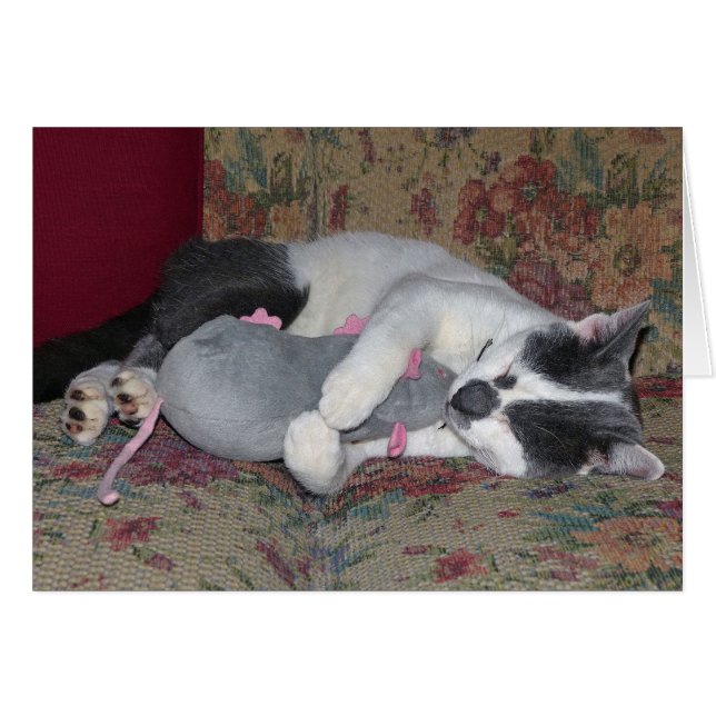 Sleeping Kitten (Front Horizontal)