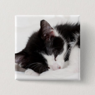 Sleeping Kitten 15 Cm Square Badge