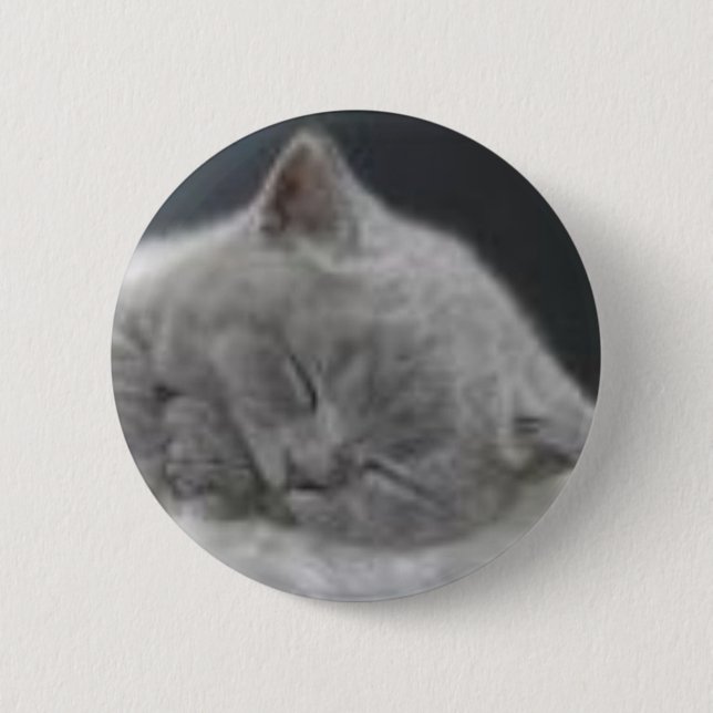sleeping Kitten 6 Cm Round Badge (Front)