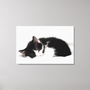 Sleeping Kitten Canvas Print