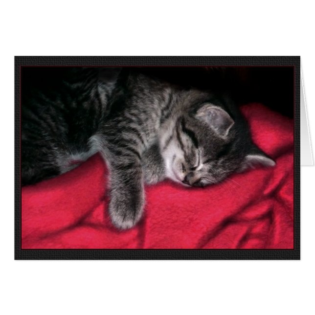 Sleeping Kitten Card (Front Horizontal)