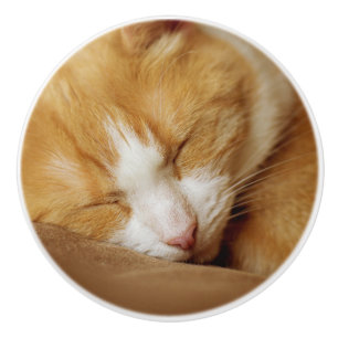 Sleeping Kitten Ceramic Knob