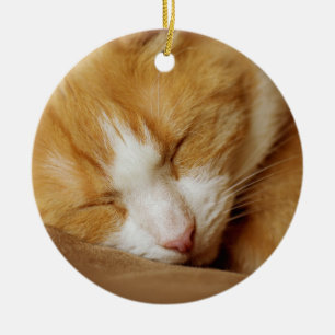Sleeping Kitten Ceramic Tree Decoration