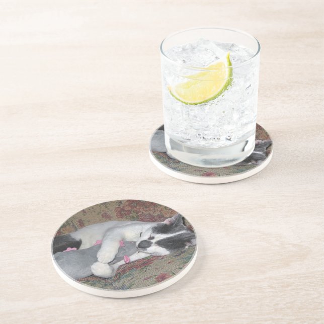 Sleeping Kitten Coaster (Side)