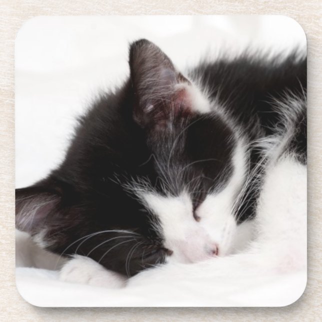 Sleeping Kitten Coaster (Front)