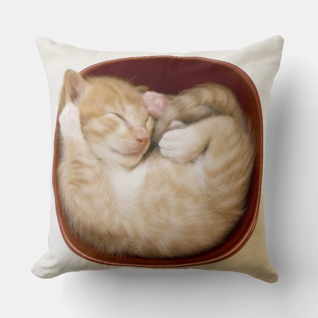 Sleeping Kitten Cushion (Front)