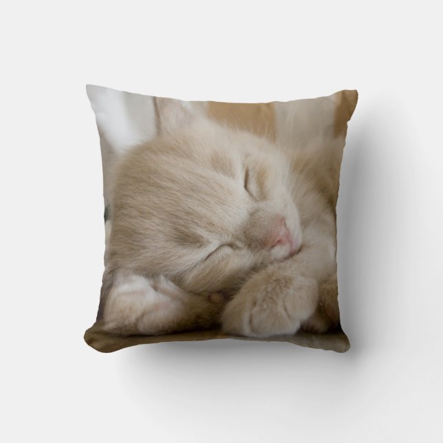 Sleeping Kitten Cushion (Front)