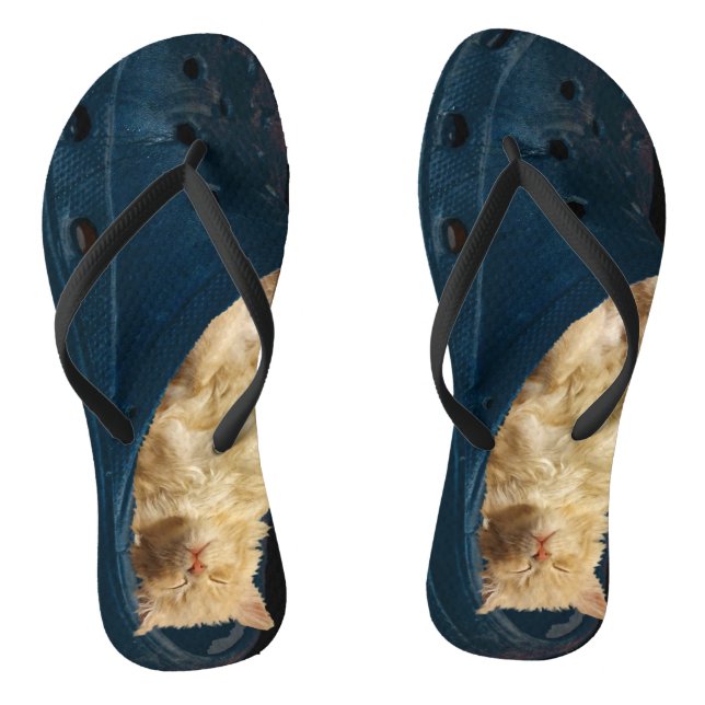 Sleeping Kitten In A Croc Shoe, Flip Flops (Footbed)