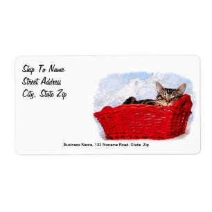 Sleeping Kitten In Bright Red Basket