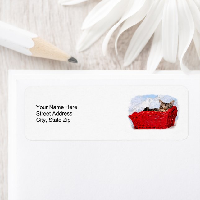 Sleeping Kitten In Bright Red Basket Personalised (Insitu)