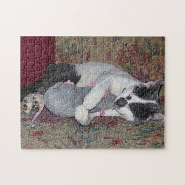 Sleeping Kitten Jigsaw Puzzle (Horizontal)