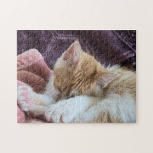 Sleeping Kitten Jigsaw Puzzle