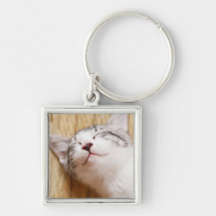 Sleeping Kitten Key Ring