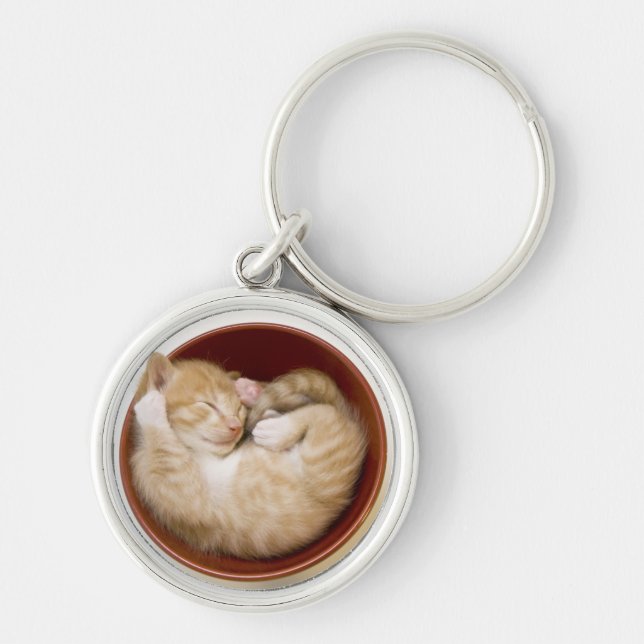 Sleeping Kitten Key Ring (Front)