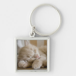 Sleeping Kitten Key Ring