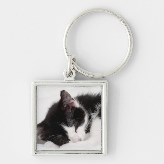 Sleeping Kitten Key Ring (Front)