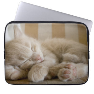 Sleeping Kitten Laptop Sleeve