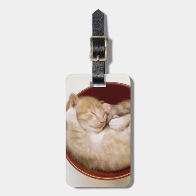 Sleeping Kitten Luggage Tag (Front Vertical)