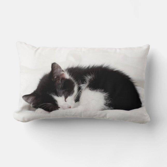 Sleeping Kitten Lumbar Cushion (Front)