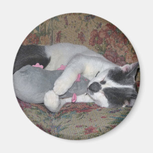 Sleeping Kitten Magnet
