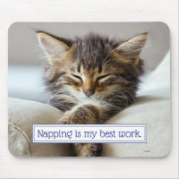 Sleeping Kitten
