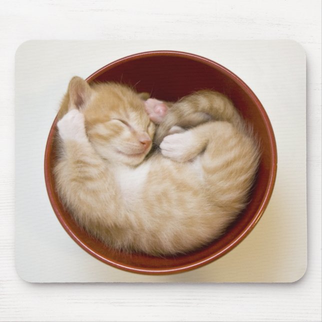 Sleeping Kitten Mouse Pad (Front)