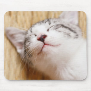 Sleeping Kitten Mouse Pad