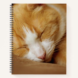 Sleeping Kitten Notebook