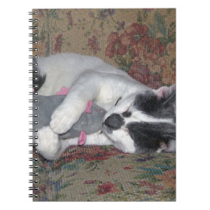 Sleeping Kitten Notebook
