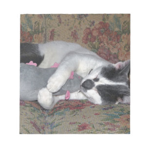 Sleeping Kitten Notepad