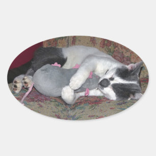 Sleeping Kitten Oval Sticker